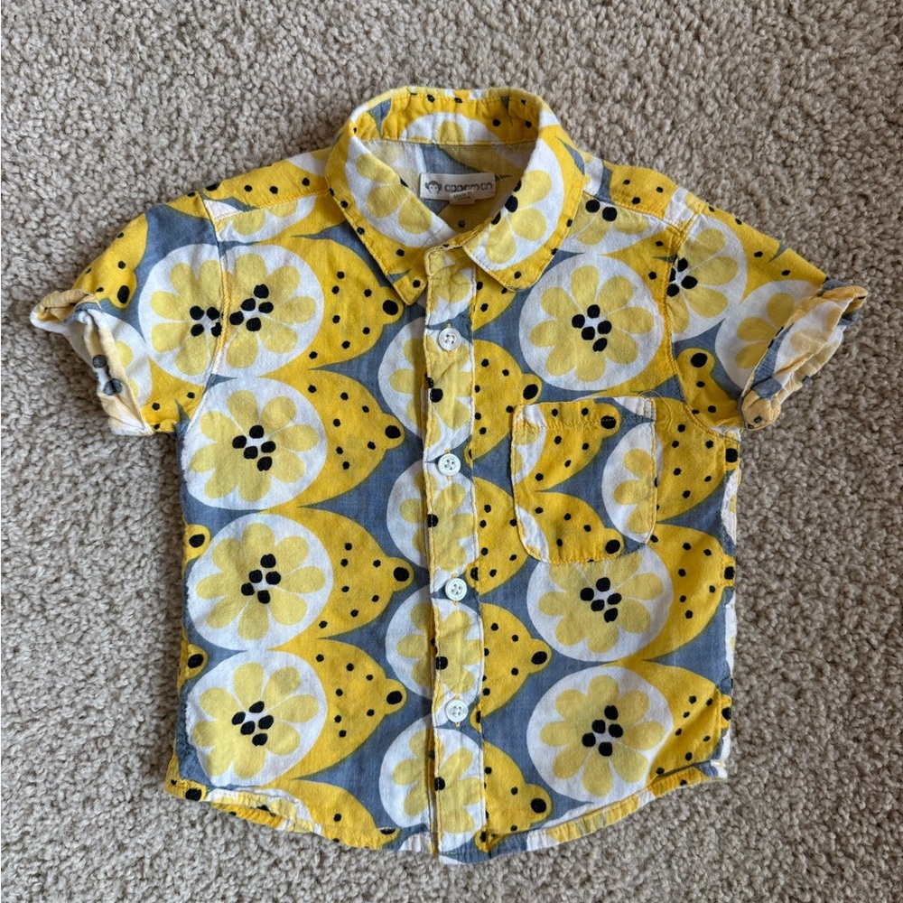 Appaman 3T button down lemon shirt
